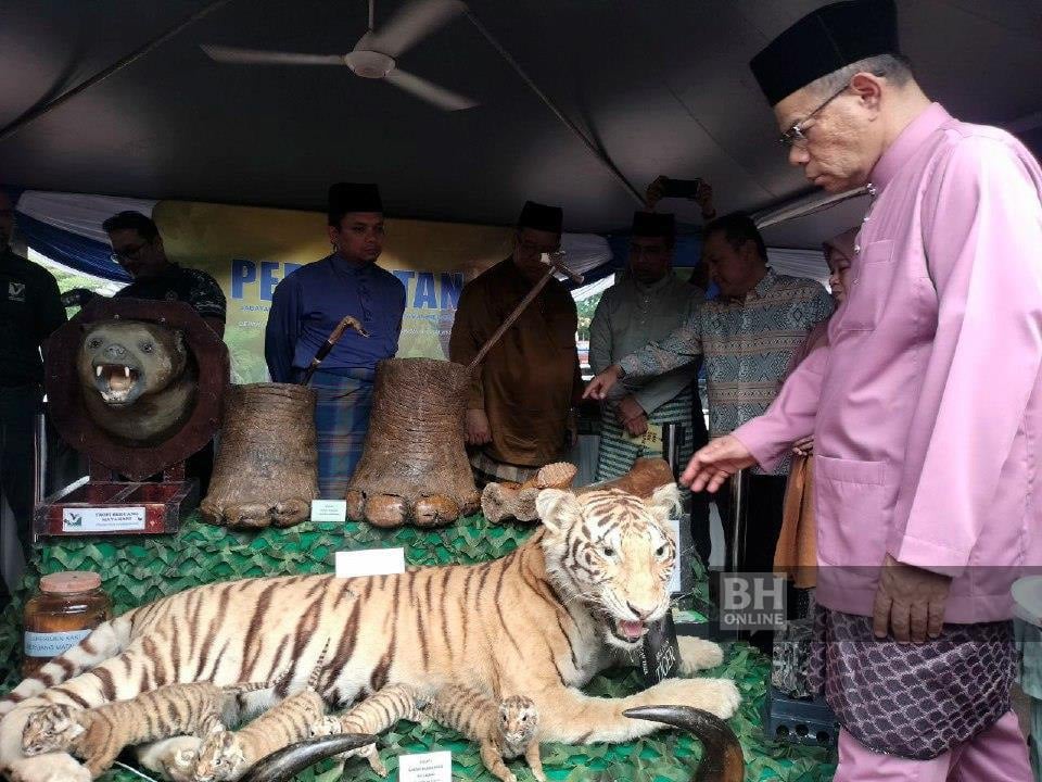 AKPS perlu masa selaras tugas agensi penguatkuasaan – Saifuddin
